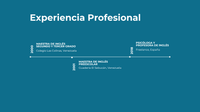 Experiencia Profesional